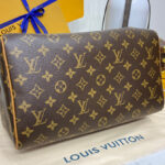 Louis Vuitton Speedy Soft 30 Boho N87212 Brown
